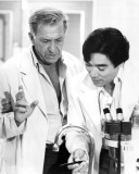 Buy Quincy M.E. at AllPosters.com