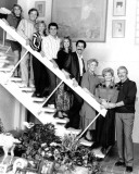 The Bradys
