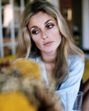 Buy Sharon Tate at AllPosters.com