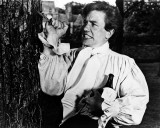 Buy Albert Finney - Tom Jones at AllPosters.com