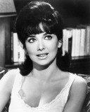 Buy Suzanne Pleshette at AllPosters.com