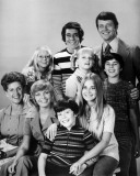 The Brady Bunch