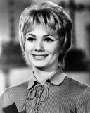 Buy Shirley Jones - The Partridge Family at AllPosters.com