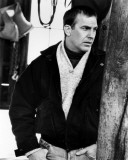 Buy Kevin Costner at AllPosters.com