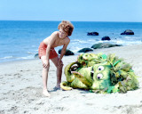 Sigmund and the Sea Monsters