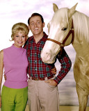 Buy Mr. Ed at AllPosters.com