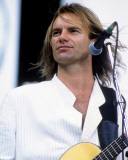 Sting