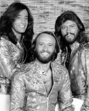 The Bee Gees Photo
