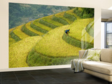 Black H'Mong Woman in Rice Field Terraces Near Tafen Village