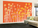 Orange Wild Flowers