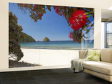 Pohutukawa Tree in Bloom and New Chums Beach, Coromandel Peninsula, North Island, New Zealand