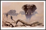 Buy Away from the Herd at AllPosters.com