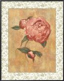 Buy Antique Peony II at AllPosters.com
