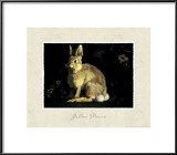 Buy Hare at AllPosters.com