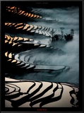 China, Yunnan Rice fields
