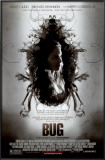 Bug