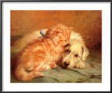 Kitten and Puppy
