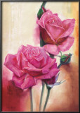 Perfume of Roses