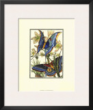 Butterfly V