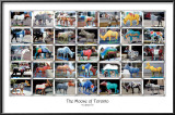 Moose of Toronto