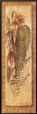 Buy Tropical Perennial II at AllPosters.com
