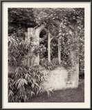 Paul's Back Yard II