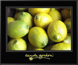 Buy Essence at AllPosters.com