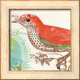 Buy Red Bird at AllPosters.com