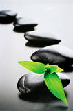 Zen Stones-Green Poster