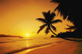Buy Sunset Island at AllPosters.com