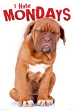 Buy I Hate Mondays at AllPosters.com