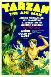 Tarzan, the Ape Man