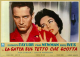 Cat On A Hot Tin Roof