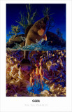 Sea Monkeys