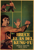 Buy Bruce and Shao-lin Kung Fu at AllPosters.com