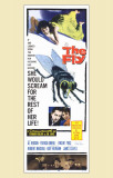 The Fly