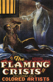 Flaming Crisis