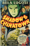 Buy Shadow of Chinatown at AllPosters.com