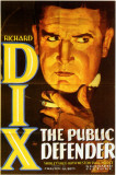 Public Defender
