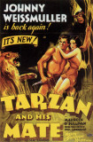 Tarzan and His Mate