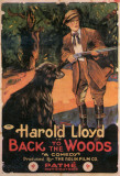Back to the Woods