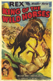 King of the Wild Horses
