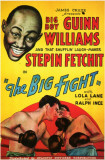 Big Fight