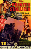 Painted Stallion