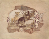 African Odyssey, Lions