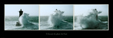 A l'Assaut du Phare du Four