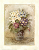 Auriculas I