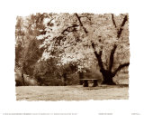 Arboretum Gardens