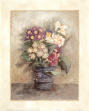 Auriculas II