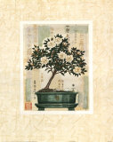 Buy Azalea Bonsai at AllPosters.com